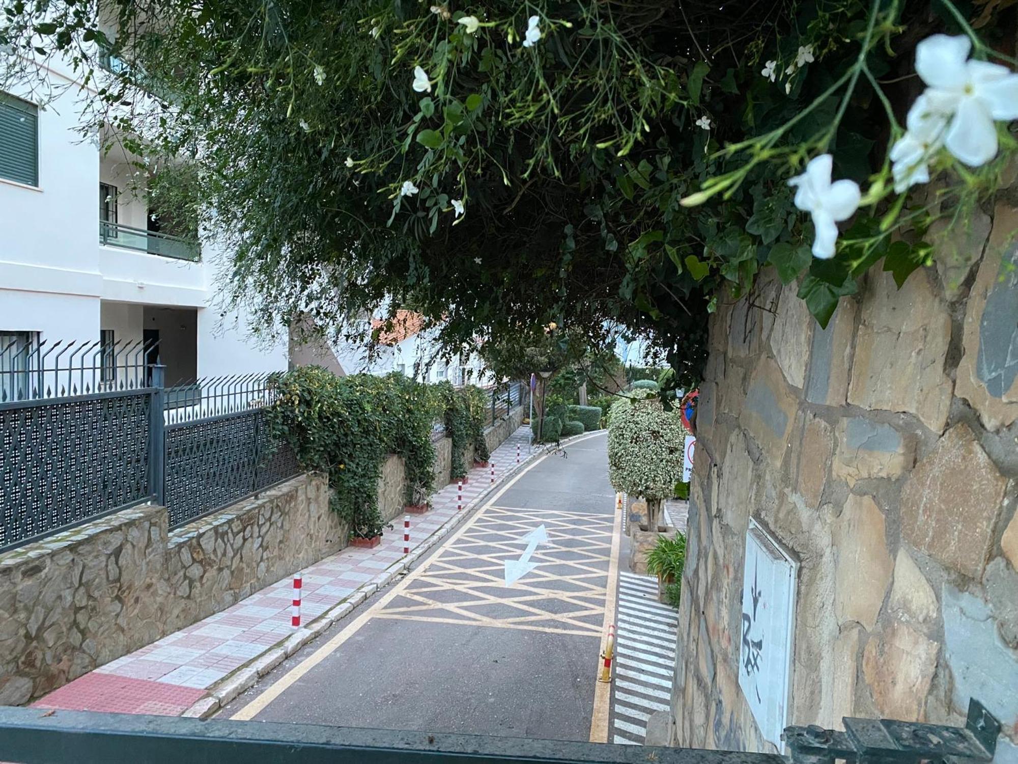 בנאלמדנה Studio With Views Next To Puerto Marina The Green Door מראה חיצוני תמונה